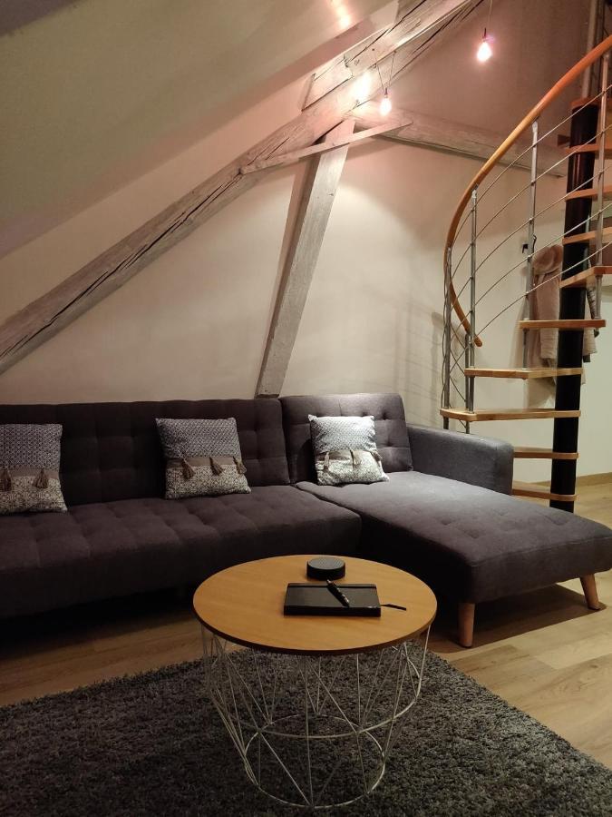 Le Business, Duplex Moderne Special Pro De Passage Daire Sarreguemines Dış mekan fotoğraf