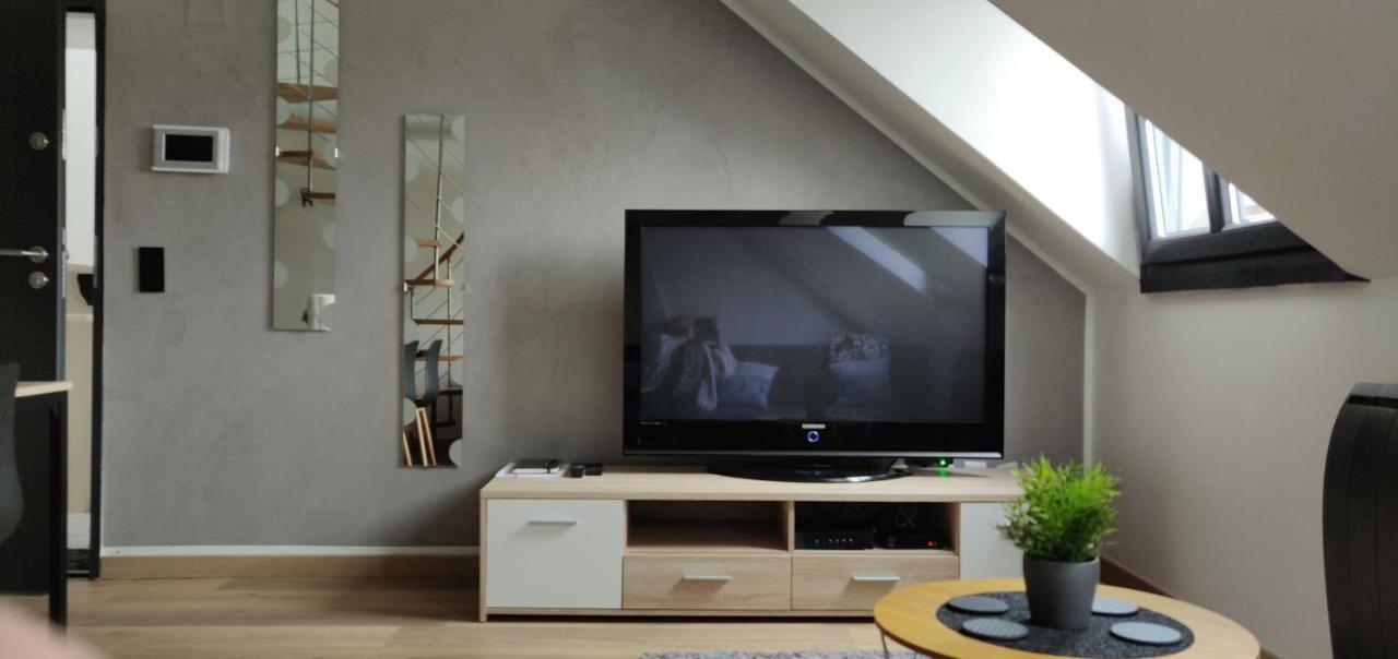 Le Business, Duplex Moderne Special Pro De Passage Daire Sarreguemines Dış mekan fotoğraf