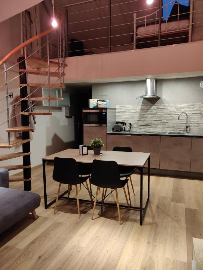 Le Business, Duplex Moderne Special Pro De Passage Daire Sarreguemines Dış mekan fotoğraf