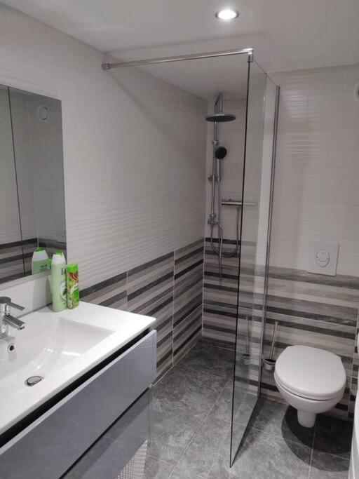 Le Business, Duplex Moderne Special Pro De Passage Daire Sarreguemines Dış mekan fotoğraf