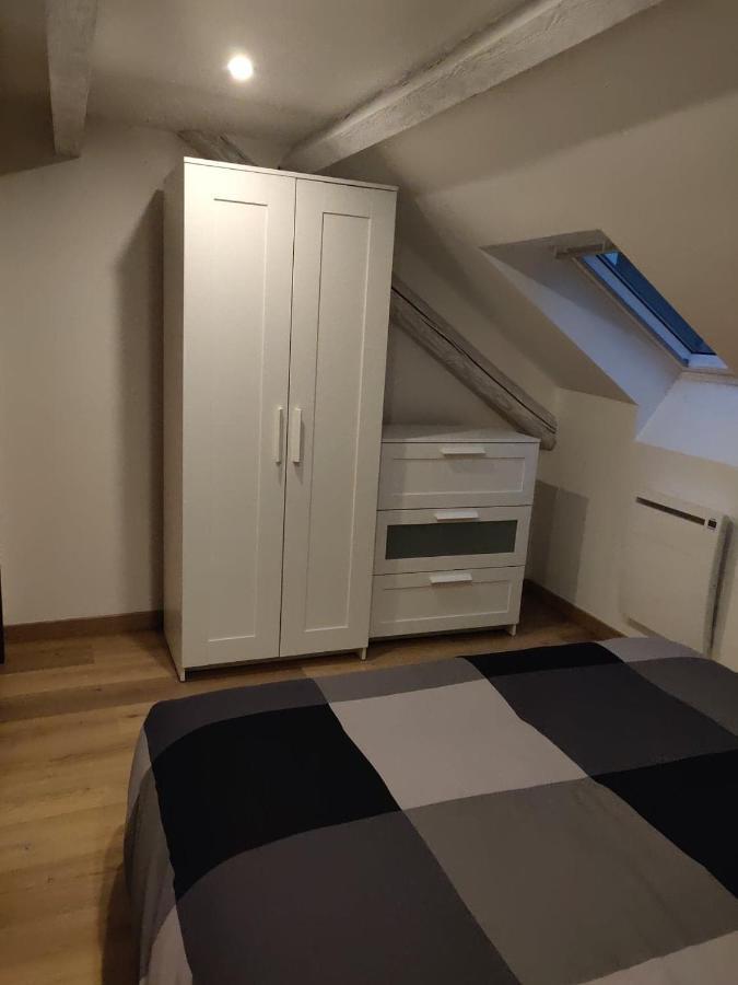 Le Business, Duplex Moderne Special Pro De Passage Daire Sarreguemines Dış mekan fotoğraf
