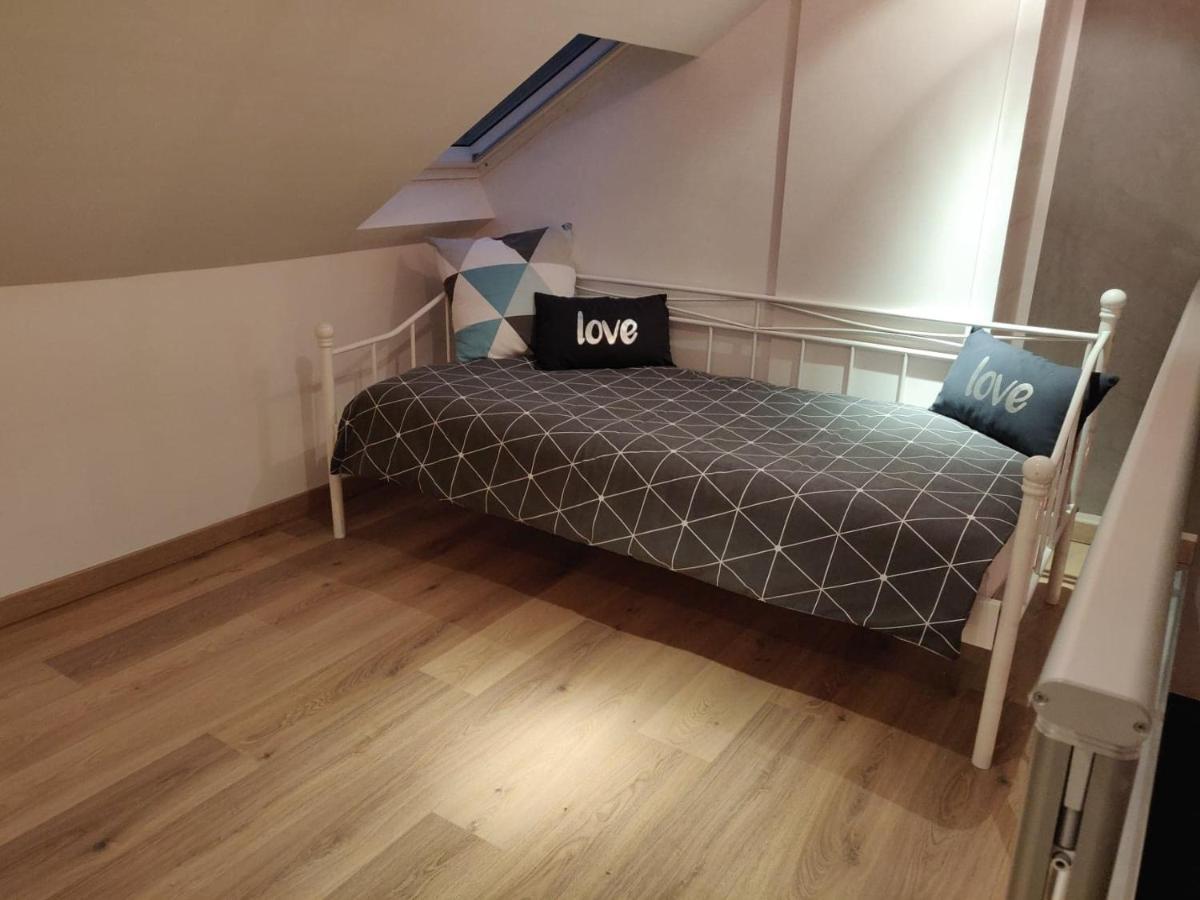 Le Business, Duplex Moderne Special Pro De Passage Daire Sarreguemines Dış mekan fotoğraf